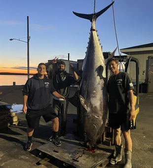 Catch Big Tuna in Seabrook